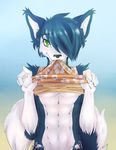  black_nose blue_fur blue_hair blush canine caninelove claws clothing dog fur green_eyes hair hair_over_eye havok husky looking_at_viewer male mammal solo 