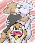  bandanna canine chess_piece collar corgi couple dog edit fox_(housepets!) gay housepets! husky king_(housepets!) kissing male mammal nogitsunegabriel screaming webcomic 