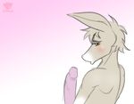  blush cute donkey equine erection long_ears long_penis male mammal nervous penis shy simple_background solo tail taquito tridark young 