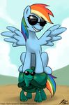  blue_fur cool equine eyewear female feral friendship_is_magic fur hair horse john_joseco long_hair mammal multi-colored_hair my_little_pony pegasus pony rainbow_dash_(mlp) rainbow_hair reptile scalie sunglases sunglasses tank_(mlp) turtle wing_boner wings 