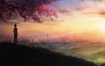  5_centimeters_per_second back character_request city cloud from_behind grass gyicarus male_focus petals scenery solo standing sun sunset tree twilight 