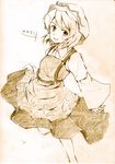  aki_minoriko brown monochrome sketch smile solo touhou traditional_media vent_arbre 