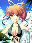 bad_id bad_pixiv_id bikini candy food green_eyes grin leaf lollipop long_hair mouth_hold original ponytail smile solo swimsuit toda_ayu 