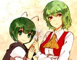  antennae ascot bad_id bad_pixiv_id bob_cut cape flower green_eyes green_hair height_difference kazami_yuuka looking_away multiple_girls nntn plaid plaid_vest red_eyes short_hair smile touhou vest wriggle_nightbug 