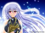  blush book breasts chain cross fingerless_gloves gloves jewelry large_breasts long_hair lyrical_nanoha mahou_shoujo_lyrical_nanoha mahou_shoujo_lyrical_nanoha_a's necklace red_eyes reinforce schwertkreuz silver_hair smile tome_of_the_night_sky wakabayashi_makoto wallpaper 