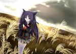  blue_hair cat green_eyes little_busters! long_hair md5_mismatch ribbon rino_(monochrome_rino) sasasegawa_sasami school_uniform solo thighhighs twintails wheat_field 