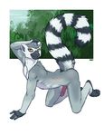  all_fours humanoid_penis iggi lemur male nude penis solo 