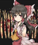  ascot bad_id bad_pixiv_id black_hair bow detached_sleeves hair_bow hair_tubes hakurei_reimu long_hair makino_(ukiuo) red_eyes smile solo touhou 