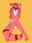  cute female looking_at_viewer nude plain_background pussy raccoon shy sitting solo tatious yellow_background 