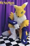  canine comic digimon female fox fursuit kneeling renamon suggestive y100 yellow 