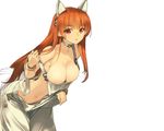  animal_ears breasts brown_eyes brown_hair collar dead_or_alive kasumi long_hair nipple_slip no_bra sanbasou white 