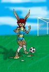  ears female field football lagomorph mammal paws rabbit soccer socks solo transformation 