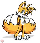  sonic_team tagme tails twotails 