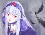  dress feathers flower frilled_dress frills hairband long_hair mac_(dog_dog) red_eyes red_flower red_rose rose rozen_maiden silver_hair solo suigintou 
