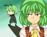  antennae ascot bad_id bad_pixiv_id bow chibi green_eyes green_hair ippo_(pixiv384625) kazami_yuuka multiple_girls touhou wriggle_nightbug 