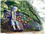  aratama bad_id bad_pixiv_id blue_eyes blue_hair bow cirno flower frog gradient_hair green_hair hair_bow hydrangea multicolored_hair puddle rainbow rock sitting sitting_on_object solo touhou v_arms wings 