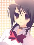  ayuzawa_misaki bad_id bad_pixiv_id bow brown_eyes brown_hair collar empty_eyes kaichou_wa_maid-sama! leash school_uniform solo sumii 