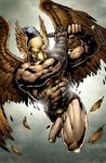  dc hawkman tagme 