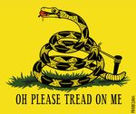  featured_image flag gadsden_flag history pierrezaius tea_party 