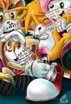  amy_rose cream_the_rabbit sonic_team tails vanilla_the_rabbit 