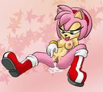  amy_rose sonic_team tagme the_other_half 
