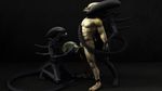  alien aliens_vs_predator corwyn predator xenomorph yautja 