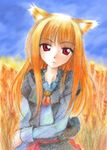 animal_ears brown_hair colored_pencil_(medium) gofu holo long_hair red_eyes solo spice_and_wolf traditional_media wheat wolf_ears 