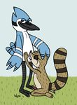  mordecai regular_show rigby tagme 