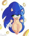  cuisine rule_63 sonic_team sonic_the_hedgehog tagme 