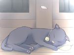  animal bell cat cat_focus dos_cat no_humans os-tan sleeping 