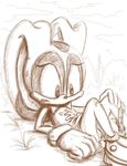  cream_the_rabbit escoria sonic_team tagme 