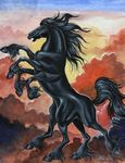  black black_eyes black_fur cloud clouds connychiwa equine fur hooves horse male mammal multi_limb multiple_legs norse_mythology sleipnir solo sunset tail 