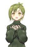  :o bad_id bad_pixiv_id blush breasts copyright_request fangs green_eyes green_hair hands_on_own_chest harunoibuki large_breasts open_mouth short_hair simple_background solo sweater white_background 
