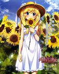 absurdres blonde_hair blue_eyes blush comptiq covering_mouth dress flower french grisaia_(series) grisaia_no_kajitsu grisaia_no_meikyuu hair_ribbon hat highres long_hair matsushima_michiru official_art ribbon scan solo sun_hat sundress sunflower twintails watanabe_akio 