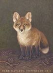  canine dark_natasha feral fox mammal solo young 