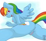  anthrofied anus blue_fur blush breasts butt equine female friendship_is_magic fur looking_at_viewer looking_back mammal my_little_pony nipples nude pegasus pose pussy rainbow_dash_(mlp) shadowhulk solo wing_boner wings 