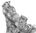  animal_genitalia bear blotch cum cum_face cum_on_face cumshot greyscale licking male mammal monochrome open_mouth oral oral_sex orgasm overweight penis sex sucking tongue tongue_out 