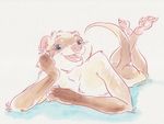  ferret kaputotter lying male mammal mustelid nude on_front solo 