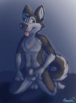  balls canine dog husky kalus looking_at_viewer male mammal pinup pose razzy_lee sheath solo tongue 