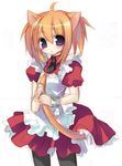  animal_ears cat_ears copyright_request maid pantyhose sazaki_ichiri solo tail 