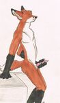  anthro canine eyes_closed fox isil knot male mammal masturbation nude penis solo 