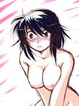  black_hair blush breasts large_breasts leaning_forward looking_at_viewer nipples nude red_eyes shameimaru_aya solo touhou yuzukineko 