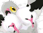  big_breasts blush breasts ce-502 female kakuheiki legs_in_air legs_up looking_at_viewer lying nintendo on_back pidove plain_background pok&#233;mon pok&eacute;mon sheets solo talons video_games white_background yellow_eyes 