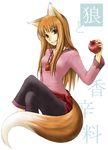  animal_ears apple brown_hair food fruit holding holding_food holding_fruit holo kazu_(pixiv8325) long_hair red_eyes solo spice_and_wolf tail wolf_ears 