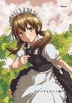  apron bare_arms black_skirt black_vest blue_neckwear blue_ribbon breasts brown_hair closed_mouth collared_shirt cowboy_shot floral_background flower futaba_channel hair_over_shoulder hair_tie hidoi higurashi_no_naku_koro_ni holding holding_flower long_hair looking_at_viewer low_twintails maid maid_headdress mishima_hiroji neck_ribbon nijiura_maids parody puffy_short_sleeves puffy_sleeves ribbon shirt short_sleeves skirt skirt_set small_breasts smile solo twintails vest waist_apron white_apron white_shirt yellow_eyes yellow_flower 