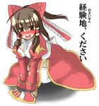 blush cosplay hakurei_reimu high_priest lowres parody ragnarok_online solo touhou translated 
