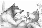  1997 anthro bd canine chubby couple dog duo male mammal nude stare 