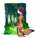  brown_hair forest haiiro japanese_clothes kimono light_rays looking_back mushishi nature outside_border renzu_(mushishi) seigaiha short_hair solo sunbeam sunlight white_background 