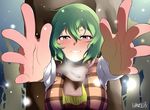  ascot blush foreshortening green_hair incoming_hug kazami_yuuka looking_at_viewer okachi outstretched_hand plaid plaid_vest red_eyes scarf shirt short_hair smile snow solo touhou vest 