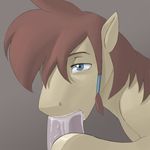  disembodied_penis equine fellatio feral gay horse kevinsano male mammal my_little_pony oral oral_sex penis pony sex wolf_nanaki 